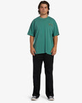 Arch Team T-Shirt - Billiard Men's T-Shirts & Vests Billabong 