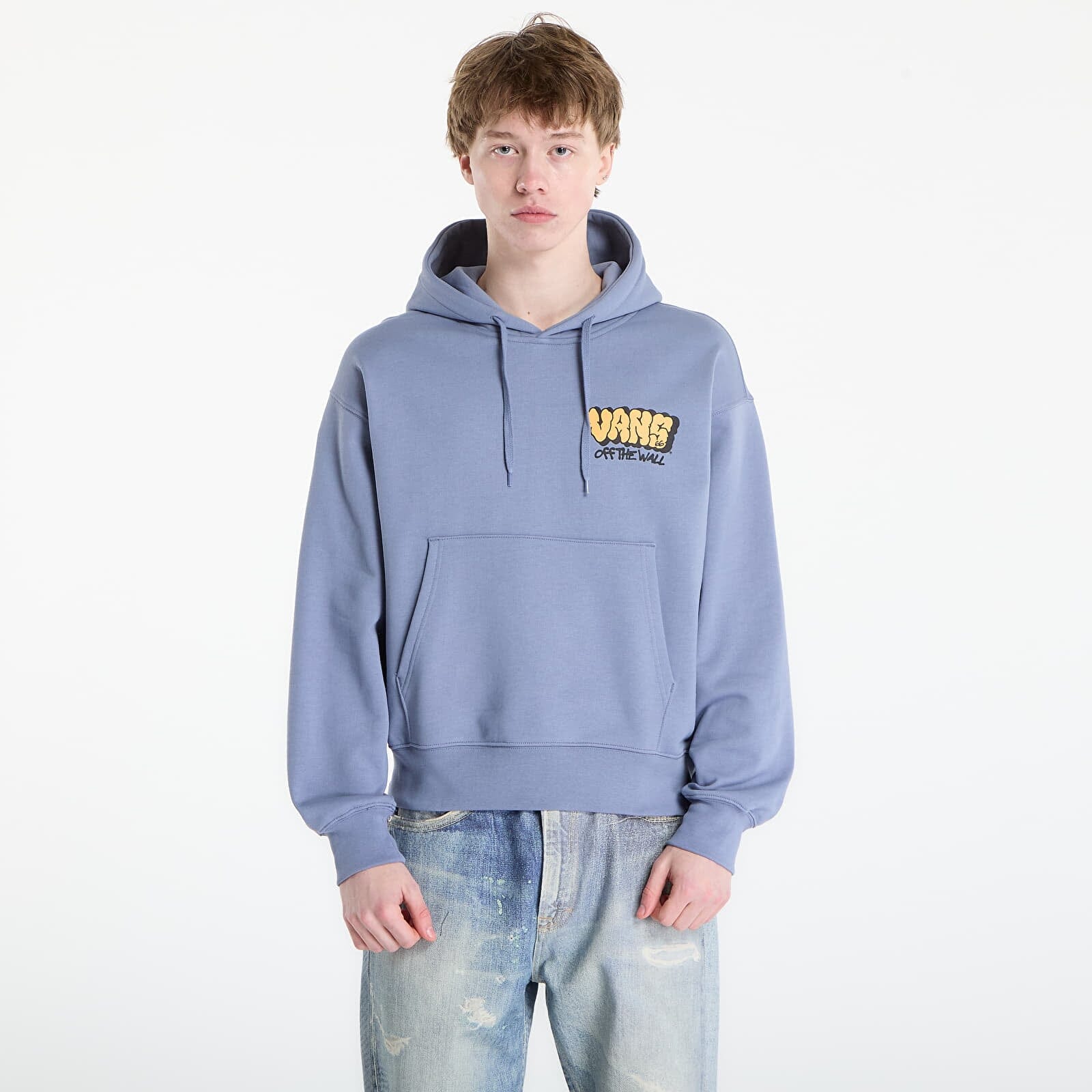 Graff Loose Hoodie - Glacial Slate Men's Hoodies & Sweatshirts Vans