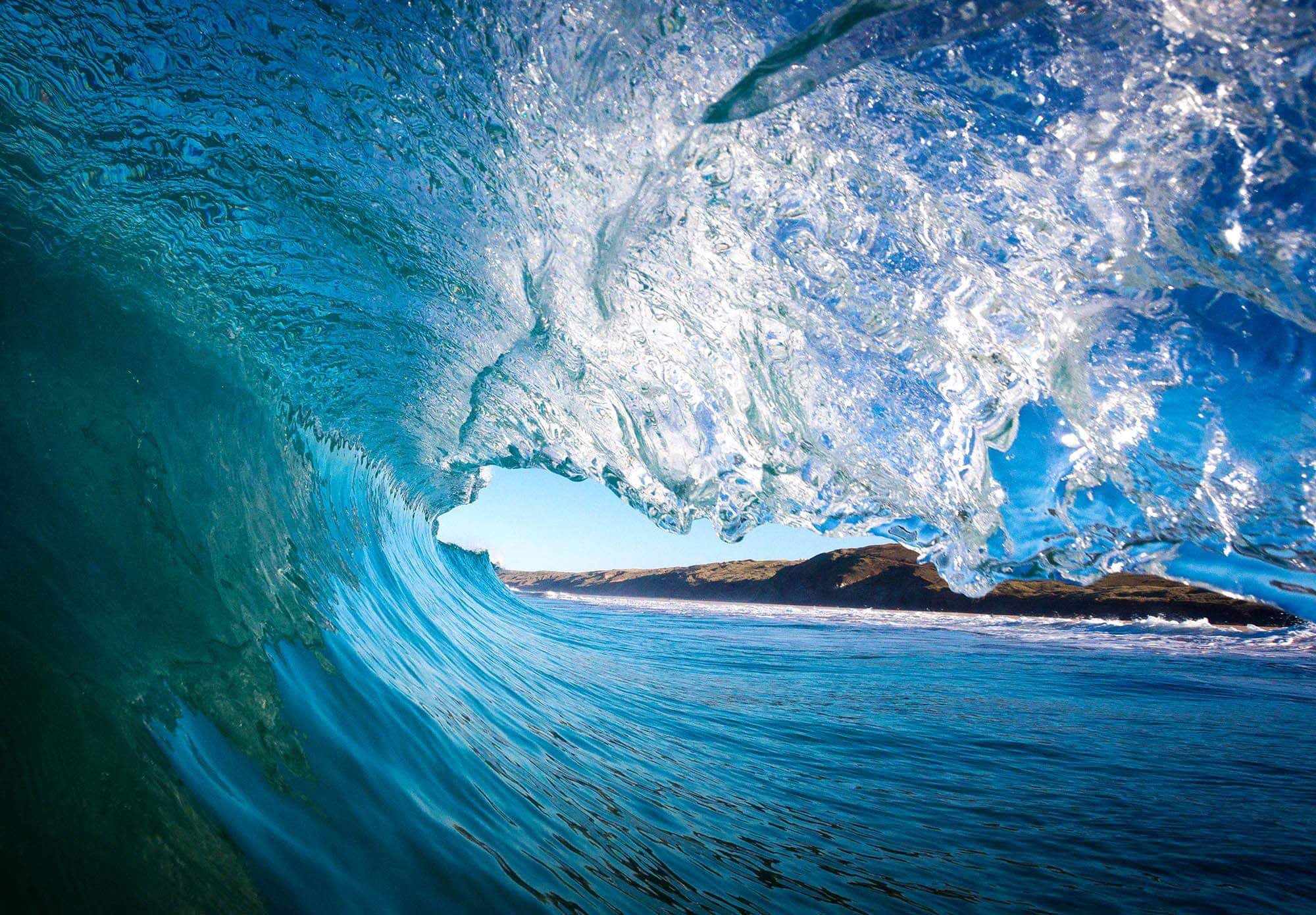 Men's Shoes & Flip Flops