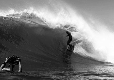 Great White Twin - 6'0"