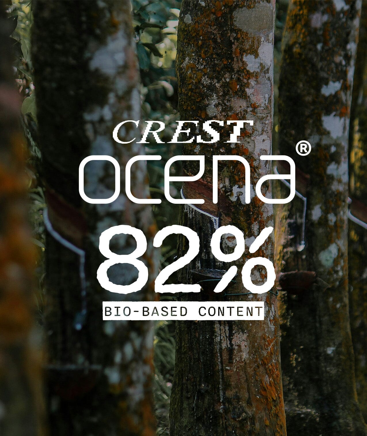 Crest 3/2 - Black Wetsuits Oxbow 