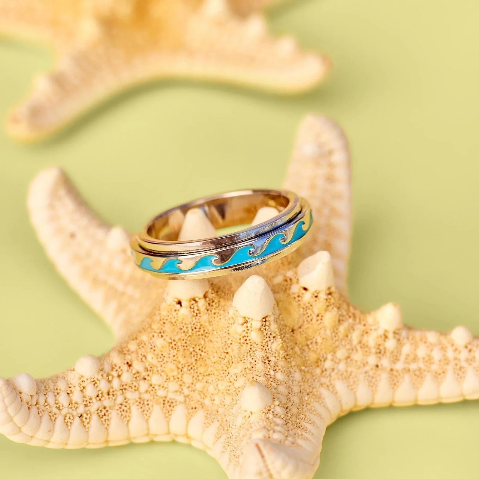 Enamel Wave Fidget Ring - Silver Jewellery Pura Vida 