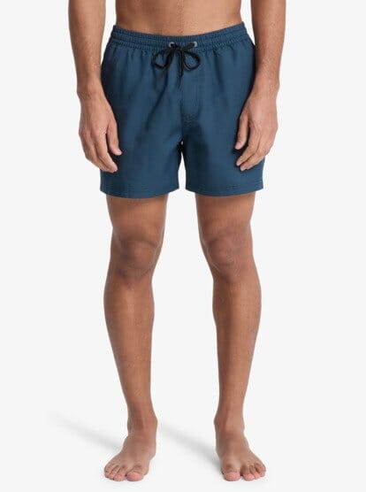 Everyday Deluxe Volley 15" Swim Shorts - Dark Navy Men's Shorts & Boardshorts Quiksilver S 