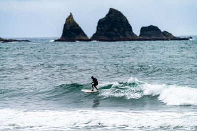 PICKUP STICK 7'0" Surfboard Lib Tech 