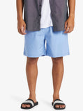 Taxer Walkshorts - Hydrangea Men's Shorts & Boardshorts Quiksilver 