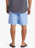 Taxer Walkshorts - Hydrangea Men's Shorts & Boardshorts Quiksilver 