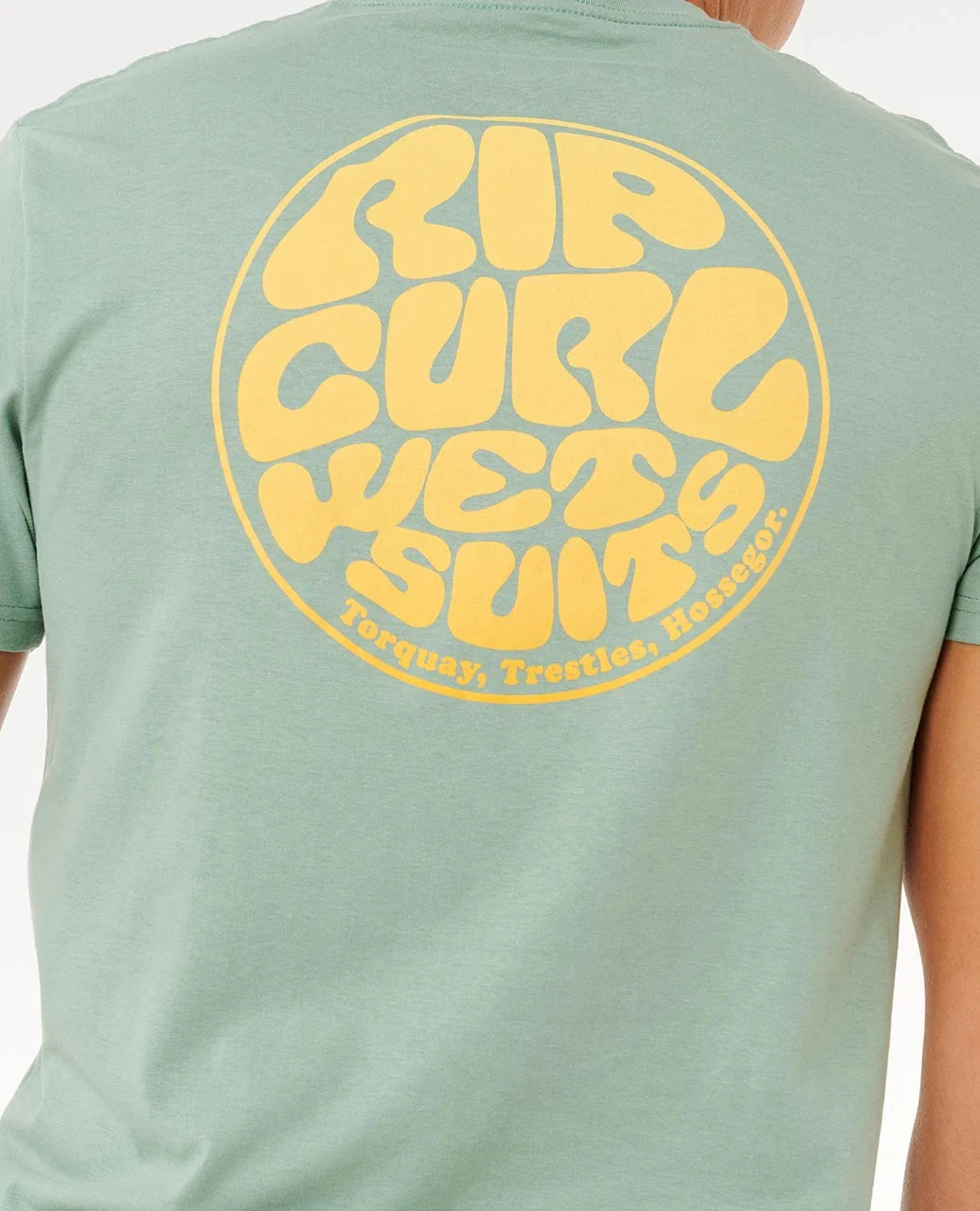 Wettie Passage Icon Tee - Aloe Men's T-Shirts & Vests Rip Curl 