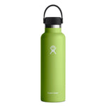 21 oz (621 ml) Standard Mouth Accessories Hydro Flask Seagrass 