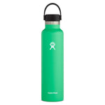 24 oz Standard Mouth Accessories Hydro Flask Spearmint 